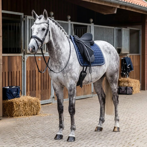 Gigolo Schabracke navy mit silber/navy/anthrazit farbiger Kordel