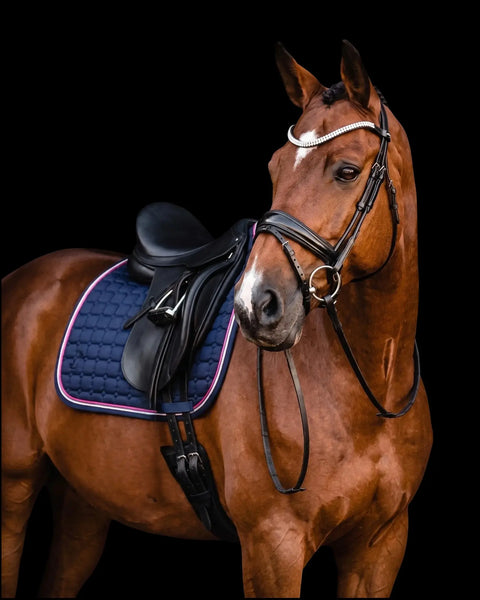 Gigolo Schabracke navy mit schlamm/navy/bordeaux farbiger Kordel