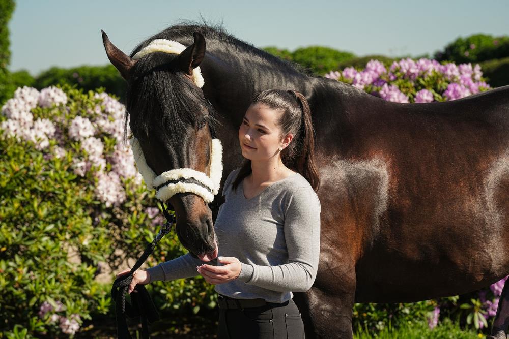 Halfter schwarz mit Kunstfell Cob